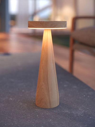 Next The Solar Centre Warm White Seattle USB Solar Table Light- Buy online at McGrocer