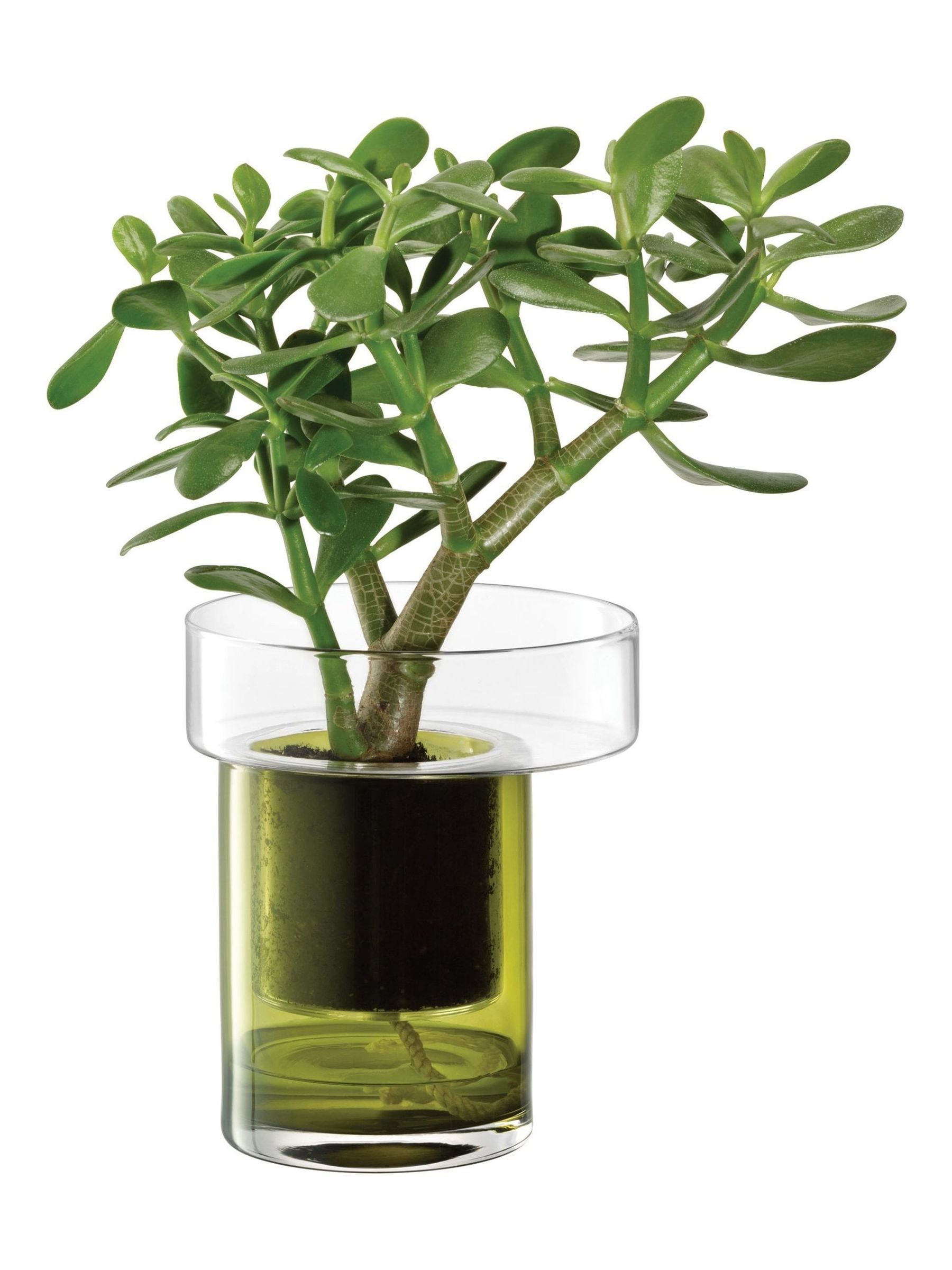 LSA International self watering planter olive green 19cm - British product