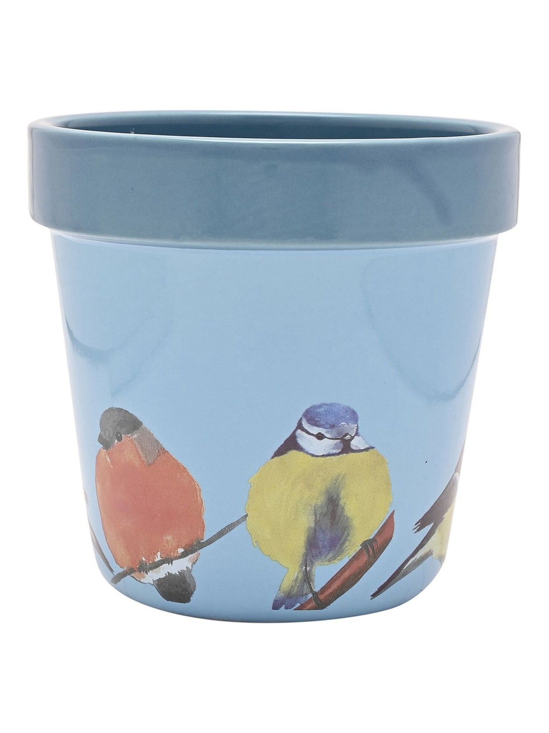 Widdop set of two blue bird planters - British product