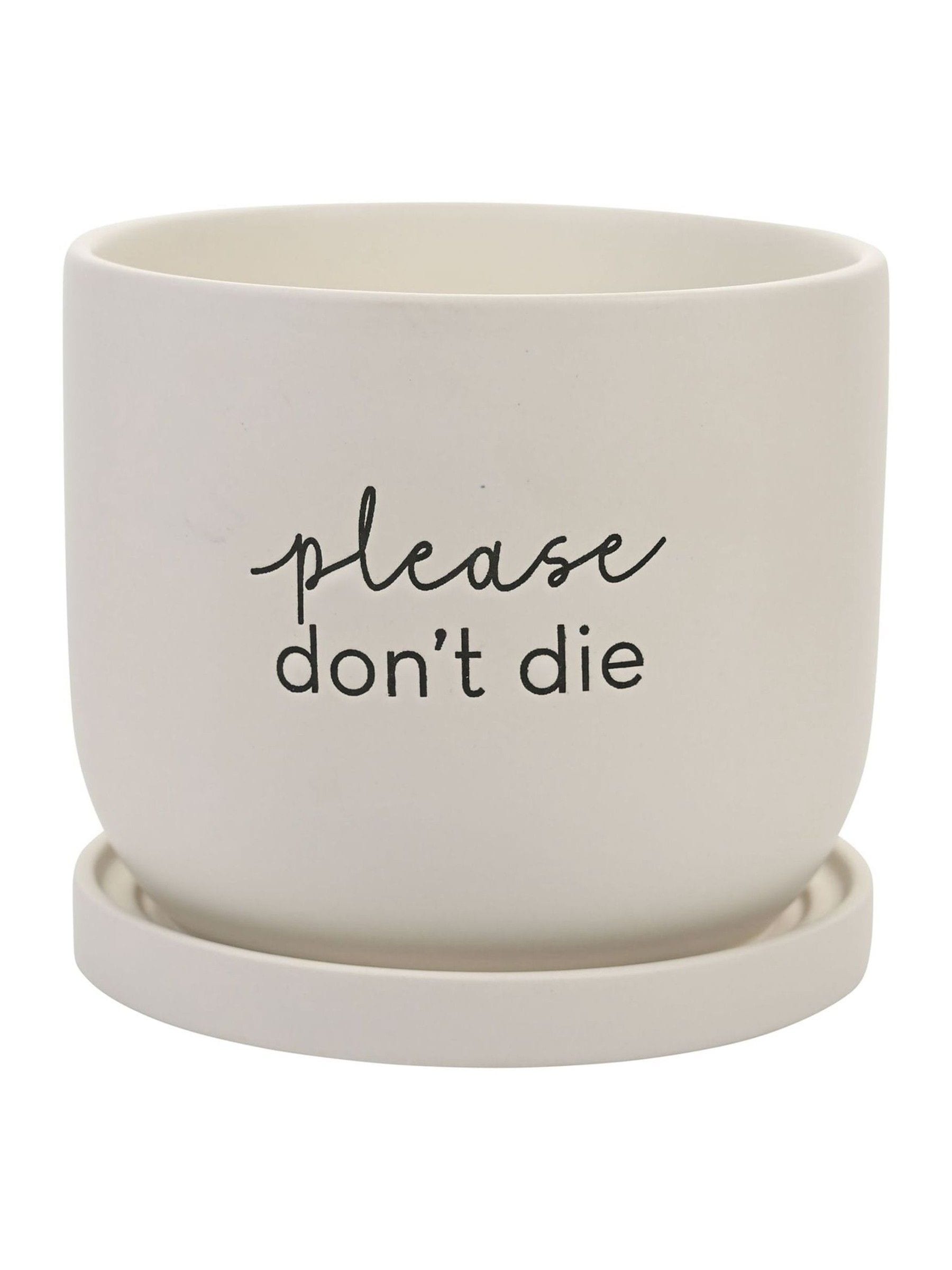 Widdop white ceramic plant pot, imported from the UK