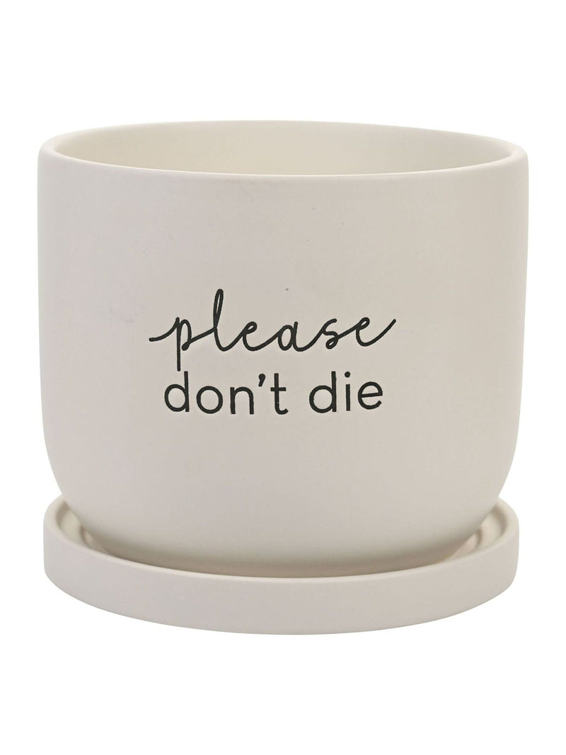 Widdop white ceramic plant pot, imported from the UK