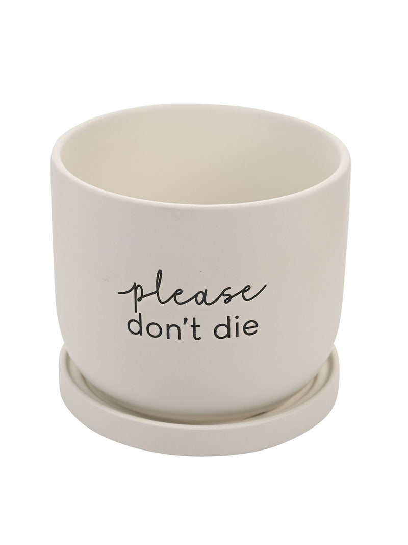 Widdop white ceramic plant pot, imported from the UK