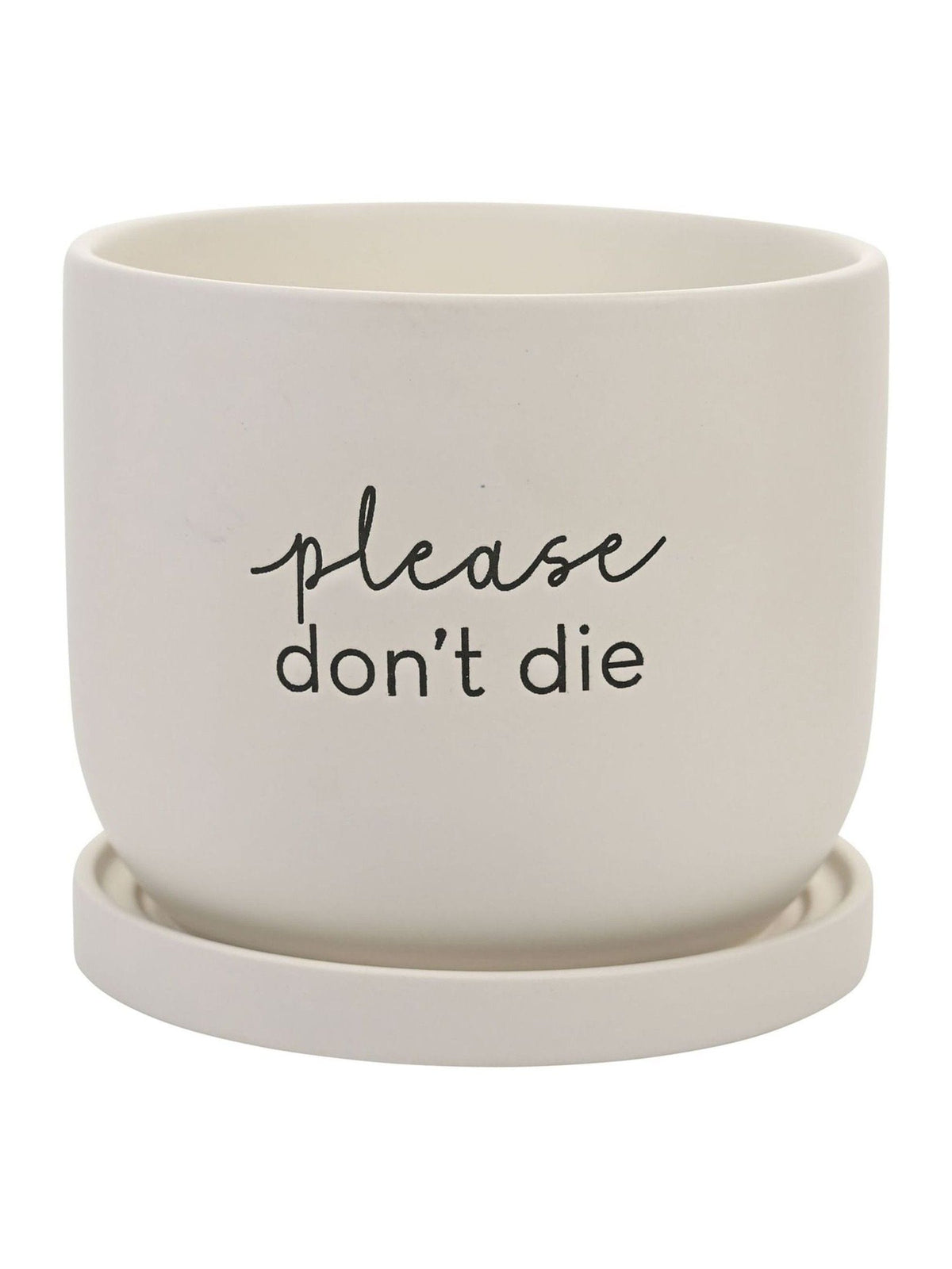Widdop white ceramic plant pot, imported from the UK