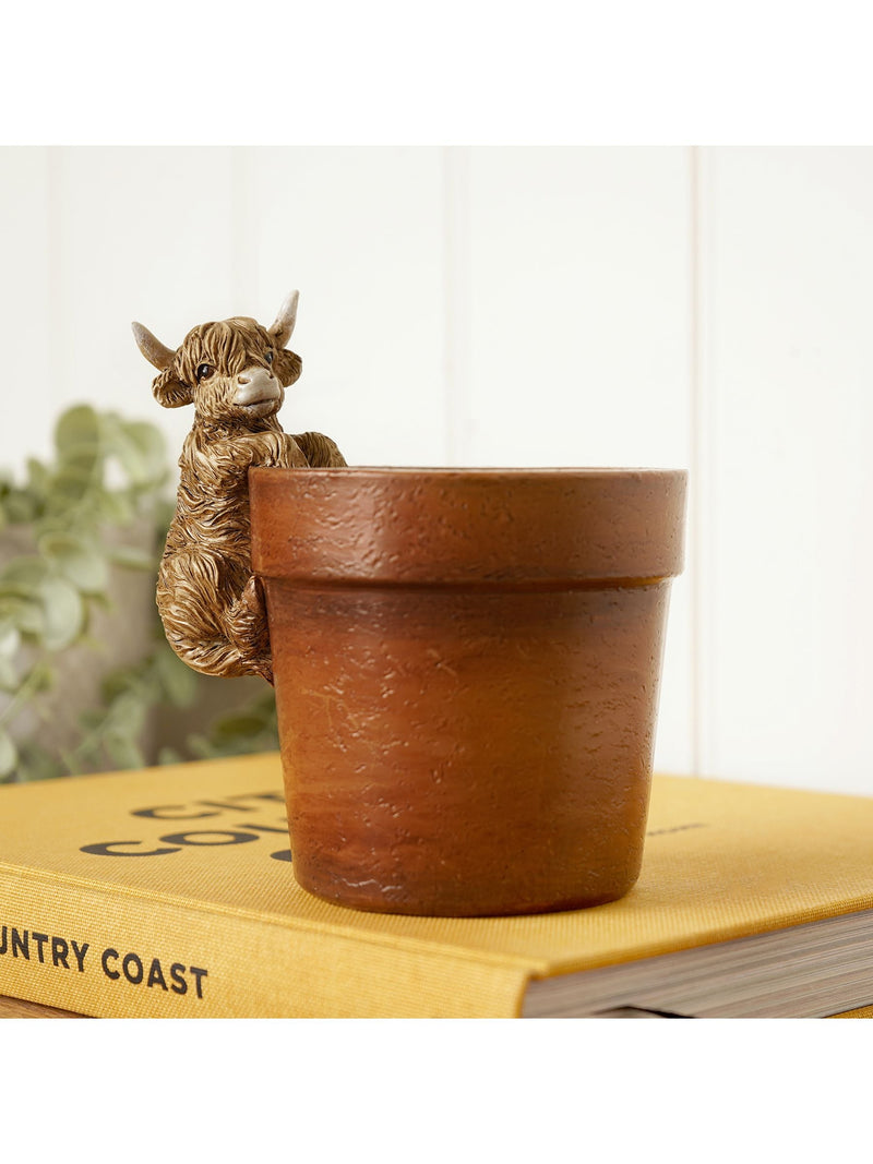 Widdop Brown Highland Cow plant pot 13cm - British product