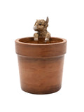 Widdop Brown Highland Cow plant pot 13cm - British product