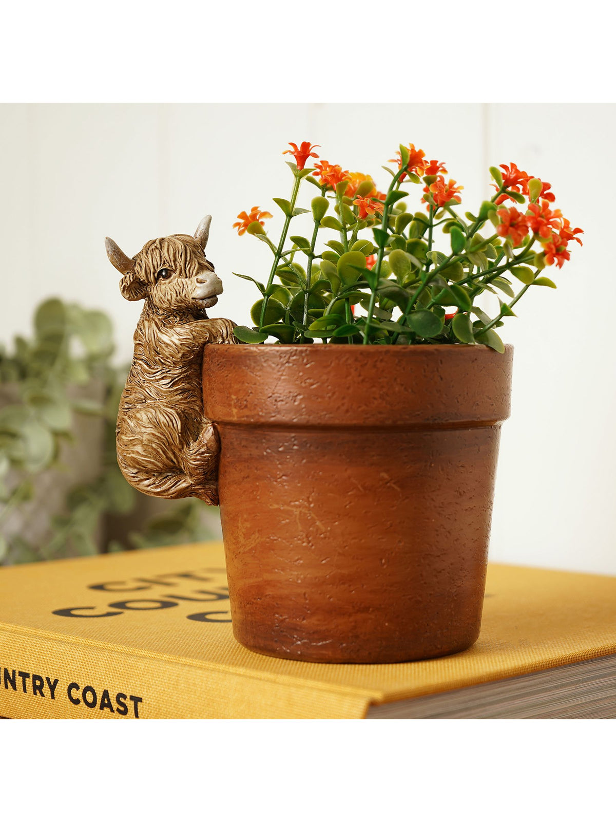 Widdop Brown Highland Cow plant pot 13cm - British product
