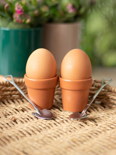 Next Something Different Brown Plant Pot Egg Cup Set with Shovel Spoons- Buy online at McGrocer