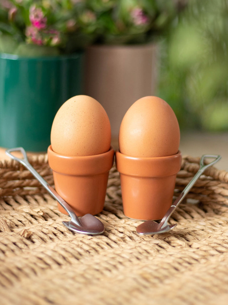 Something Different brown plant pot egg cup set, imported from the UK
