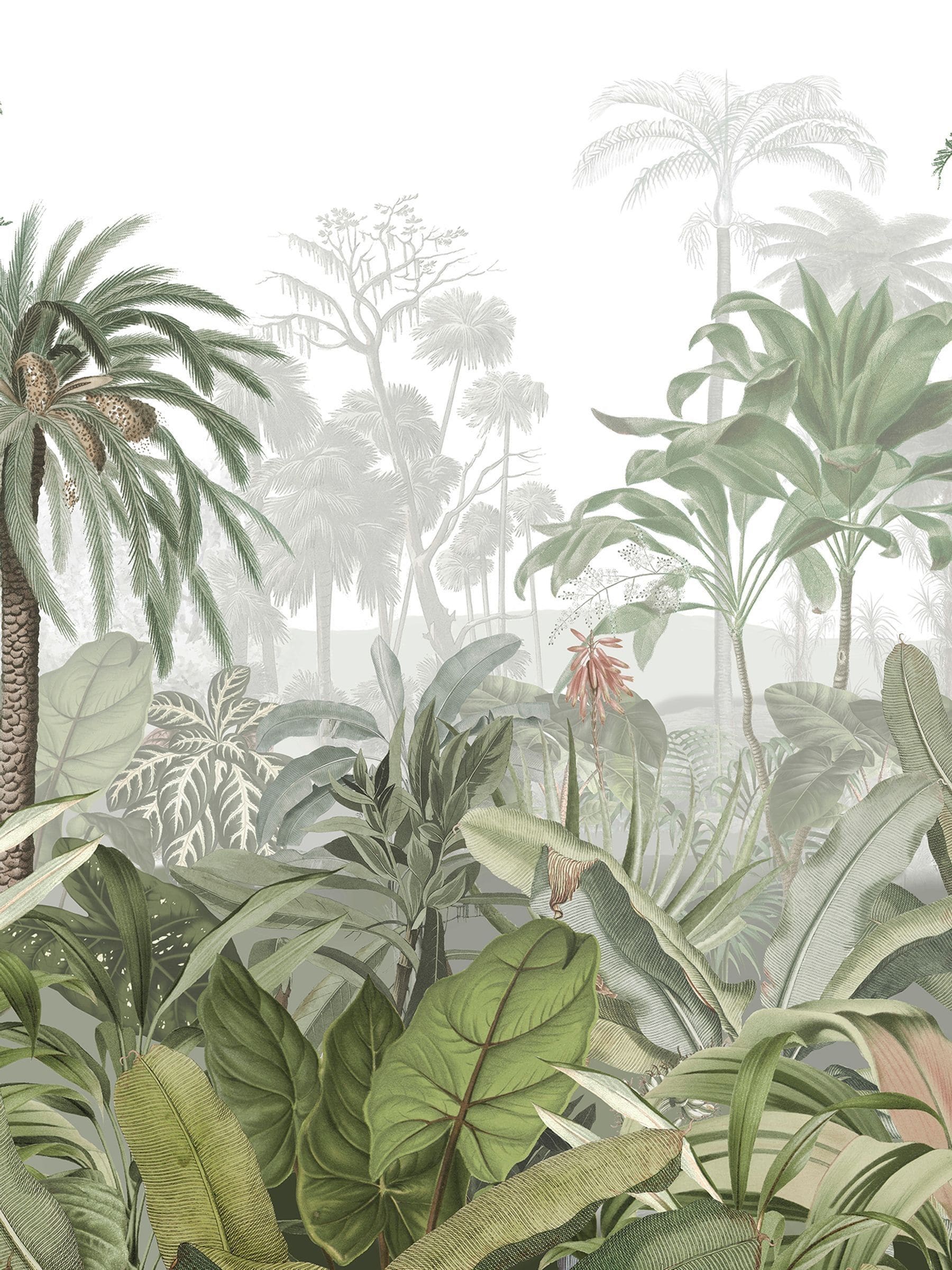 Graham & Brown Jungle Palm mural 2.5m x 4m - British product