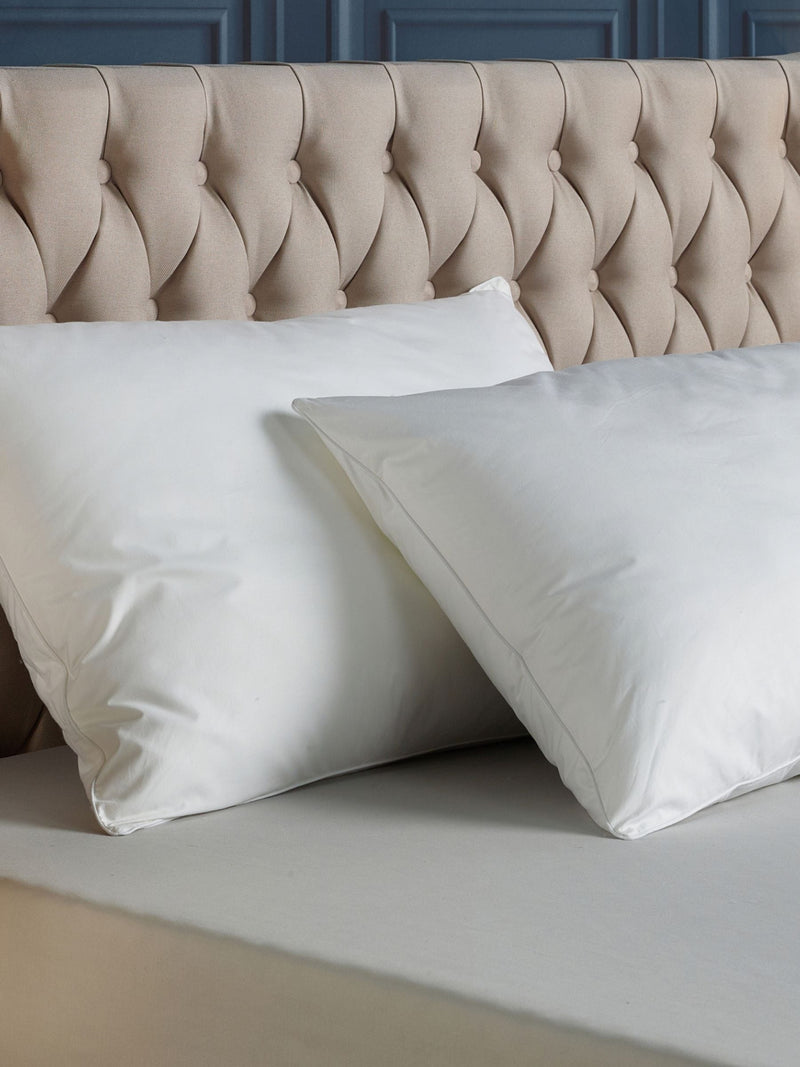 Downland Forever Full pillow pair 48x74cm, British product