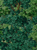 Graham & Brown Coppice Forest wallpaper sample A4, imported from the UK