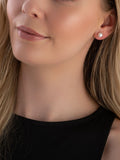 Beaverbrooks Freshwater Cultured Pearl Earrings