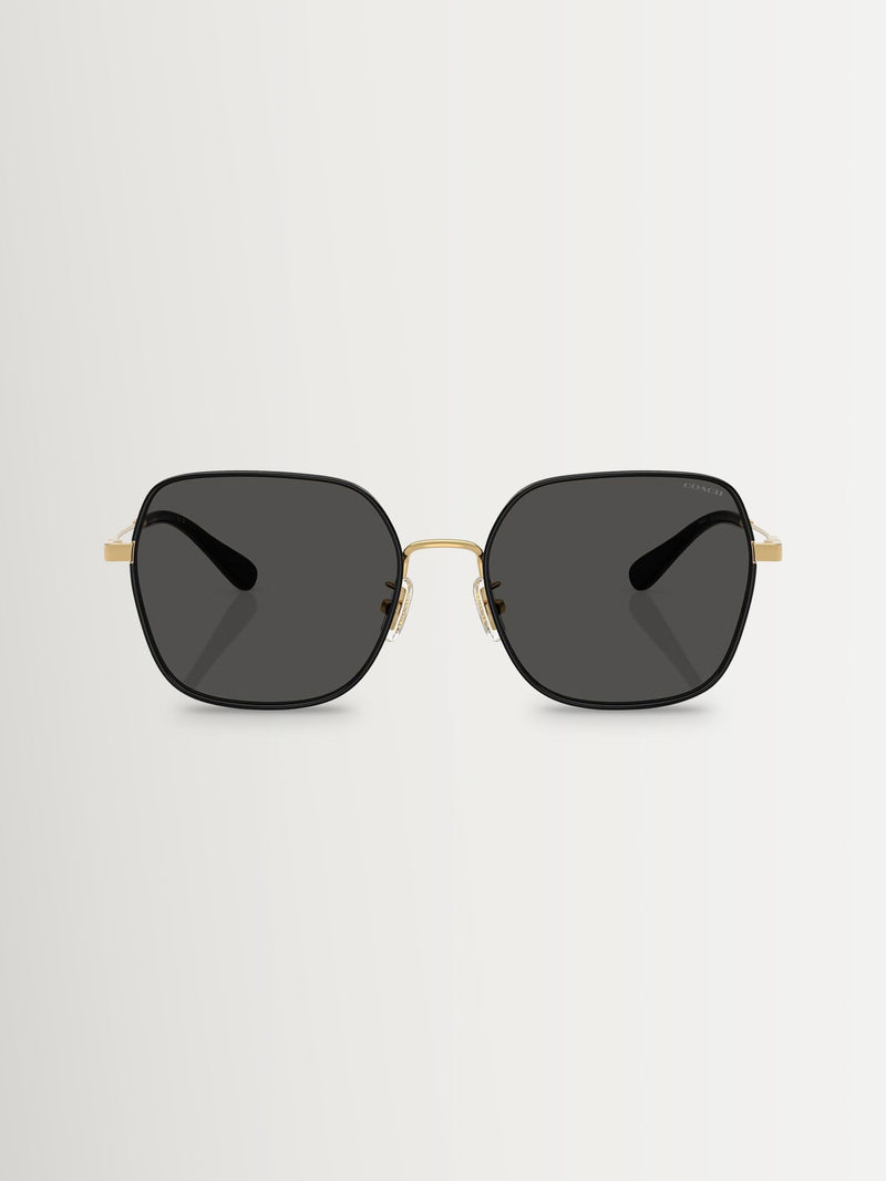 COACH gold irregular sunglasses metal frame - British product
