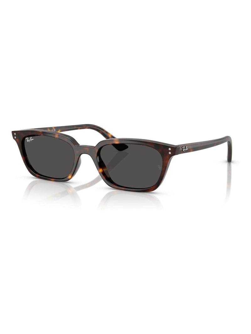Ray-Ban Brown/Black Zaya Sunglasses