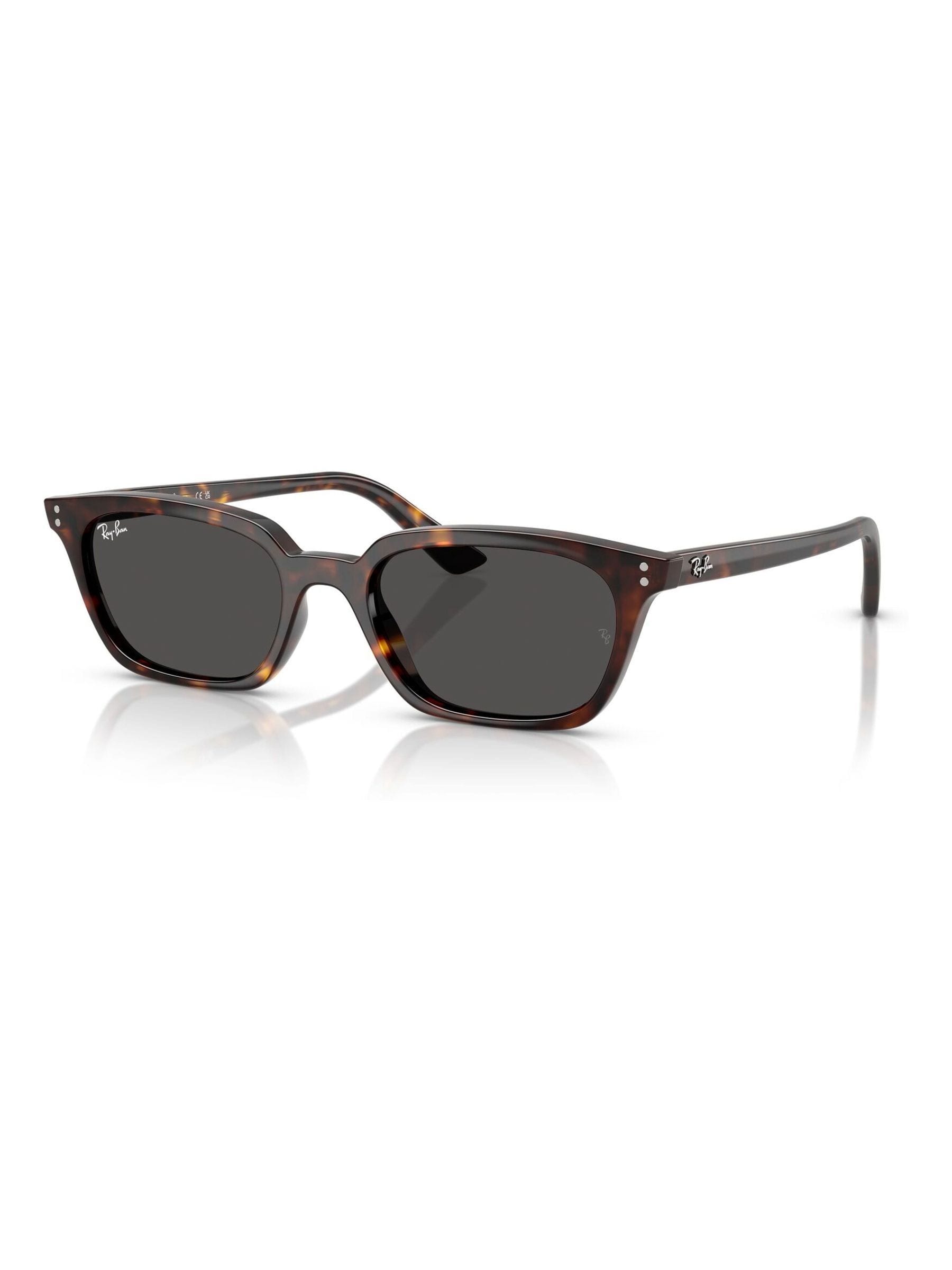 Ray-Ban Brown/Black Zaya Sunglasses