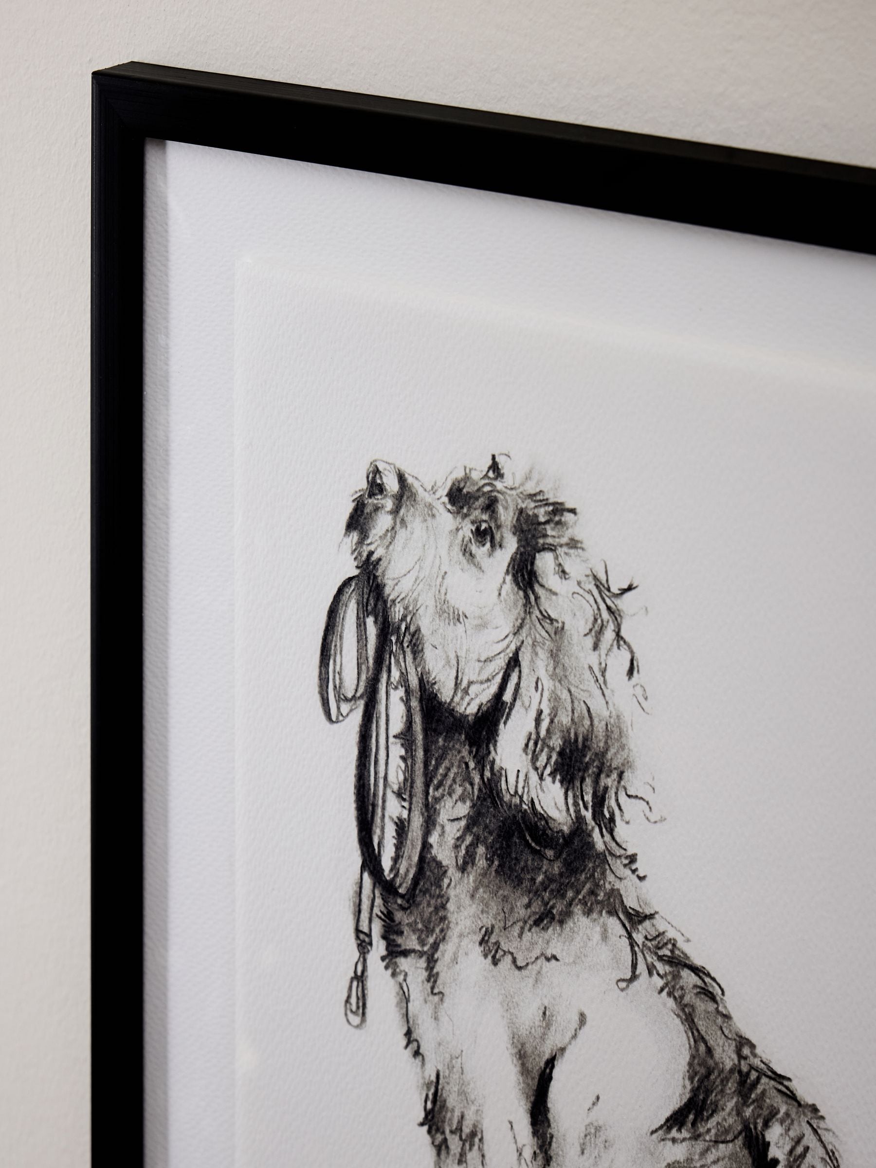 Black White Sketched Cockapoo Walkies Wall Art