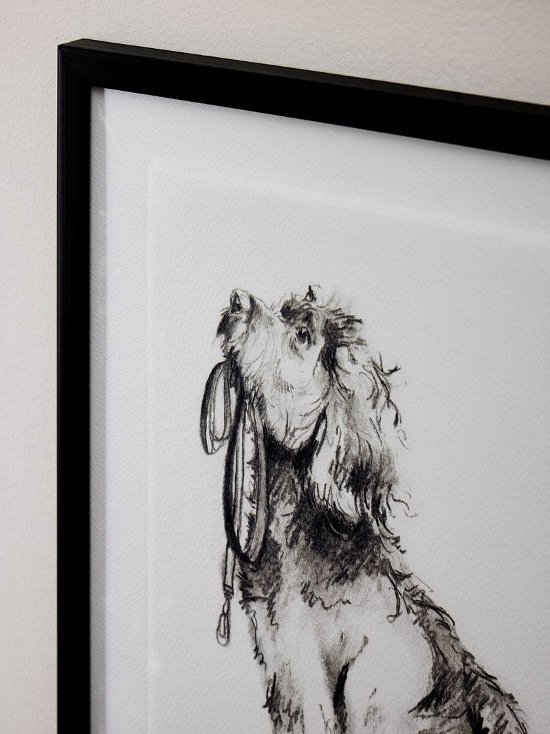 Black White Sketched Cockapoo Walkies Wall Art
