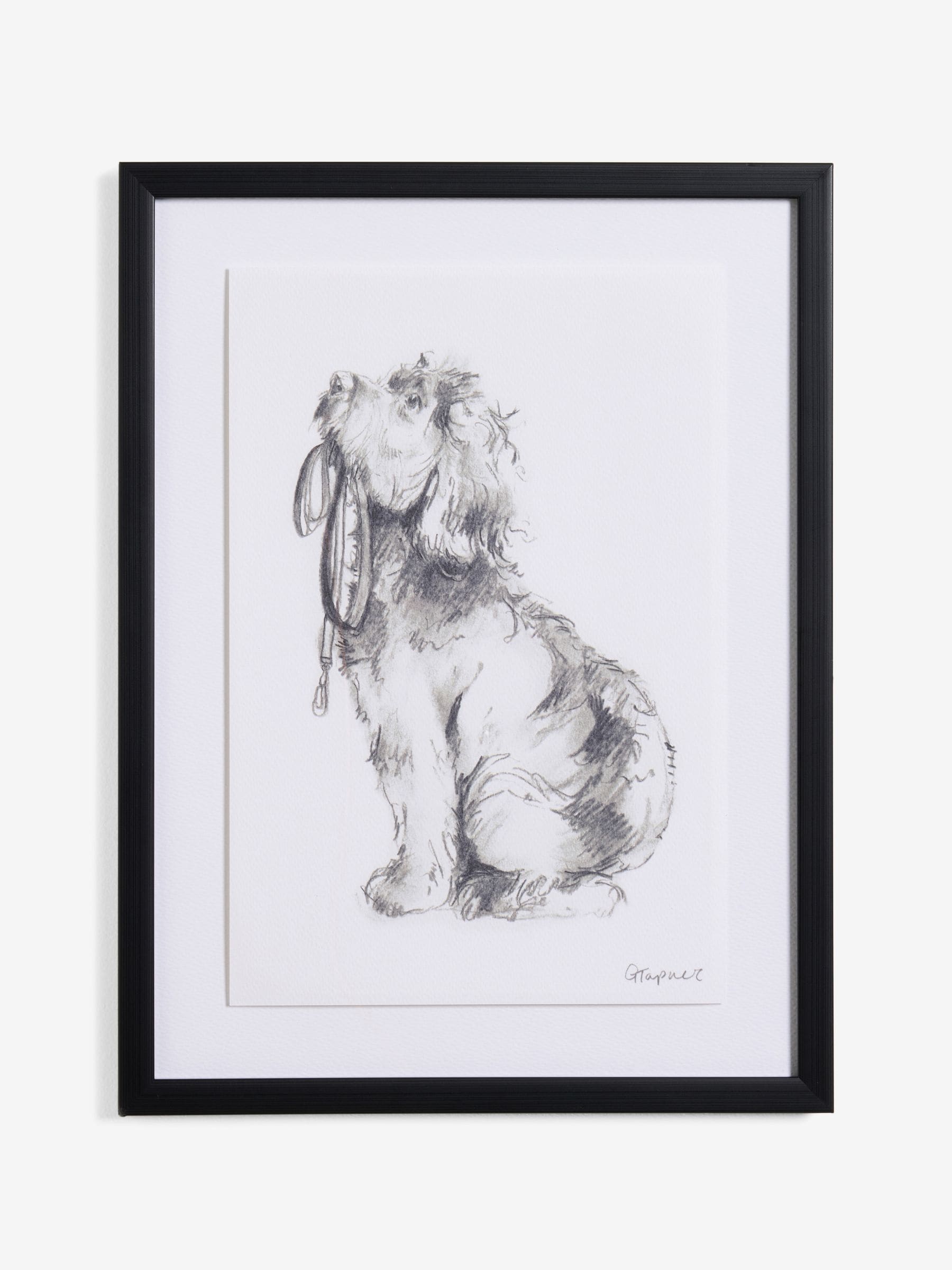 Black White Sketched Cockapoo Walkies Wall Art