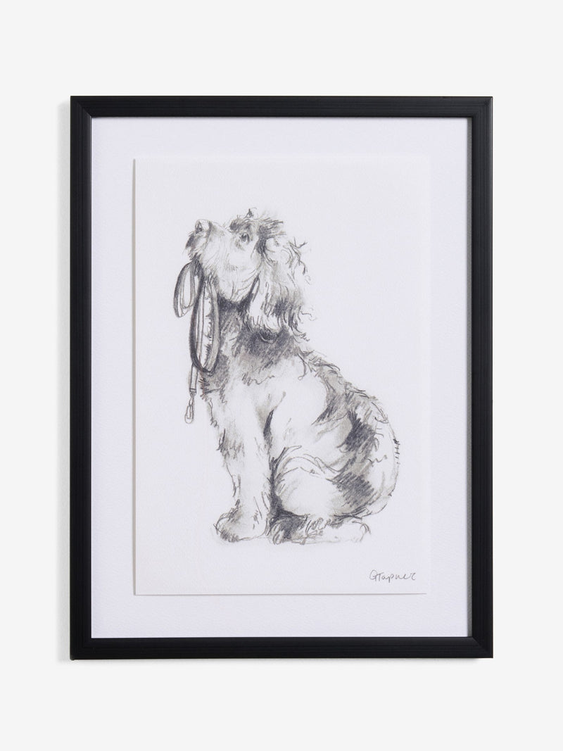 Black White Sketched Cockapoo Walkies Wall Art