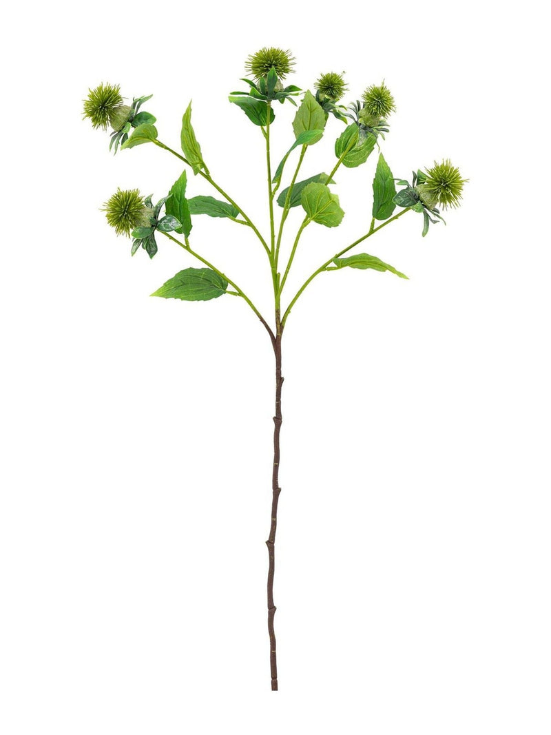 Gallery Home Green Artificial Thistle 12 Stems, UK version