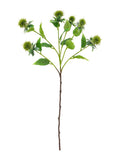 Gallery Home Green Artificial Thistle 12 Stems, UK version