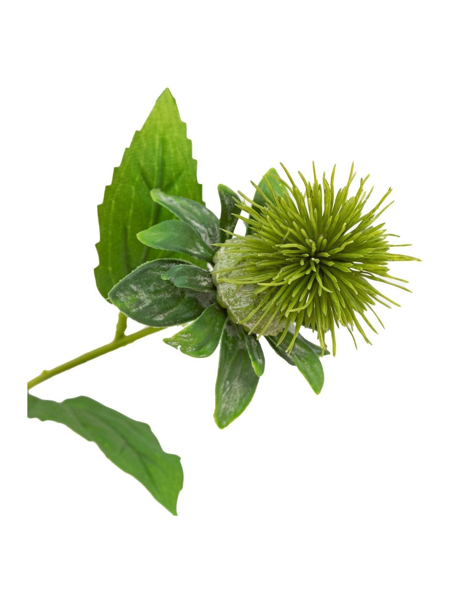 Gallery Home Green Artificial Thistle 12 Stems, UK version