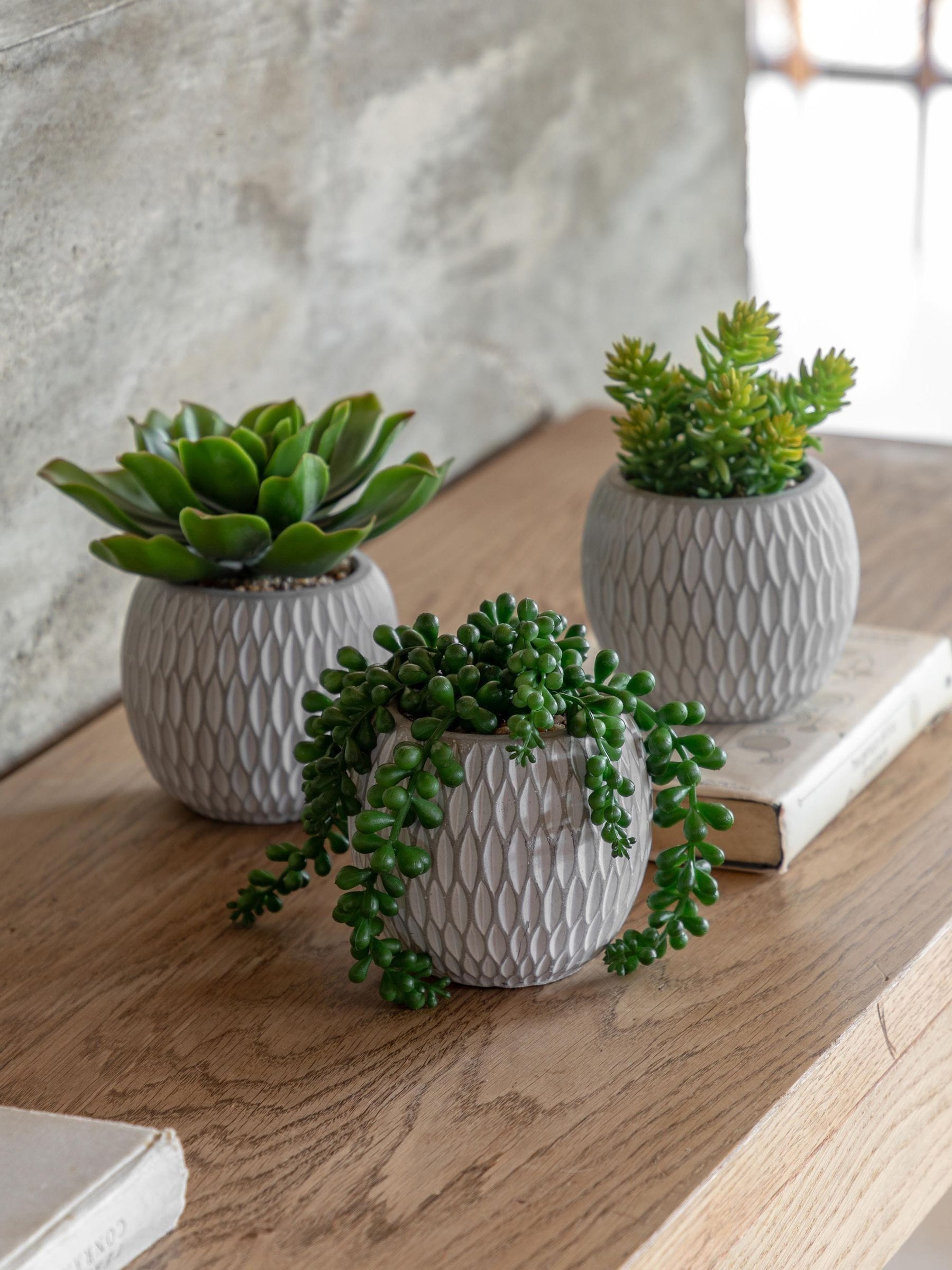 Gallery Home faux succulents set of 3 ceramic pots, imported from the UK