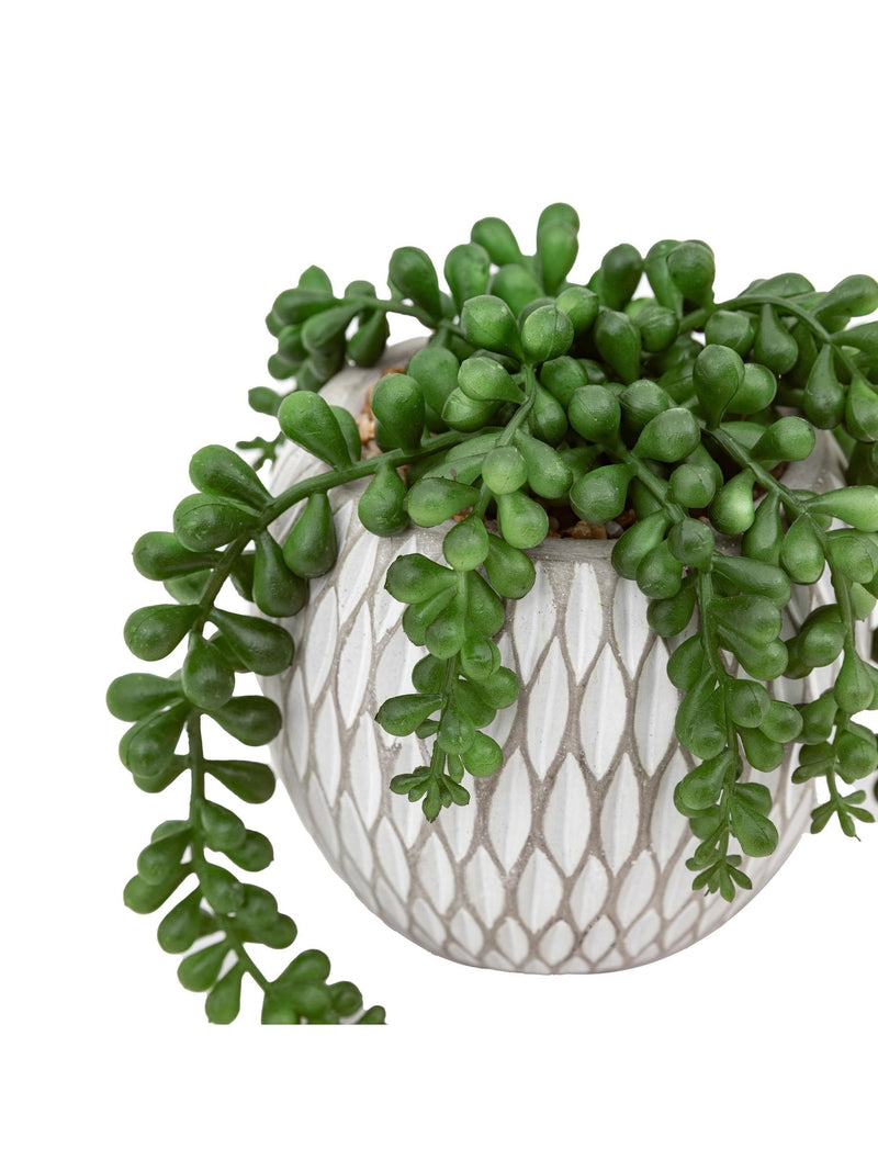 Gallery Home faux succulents set of 3 ceramic pots, imported from the UK