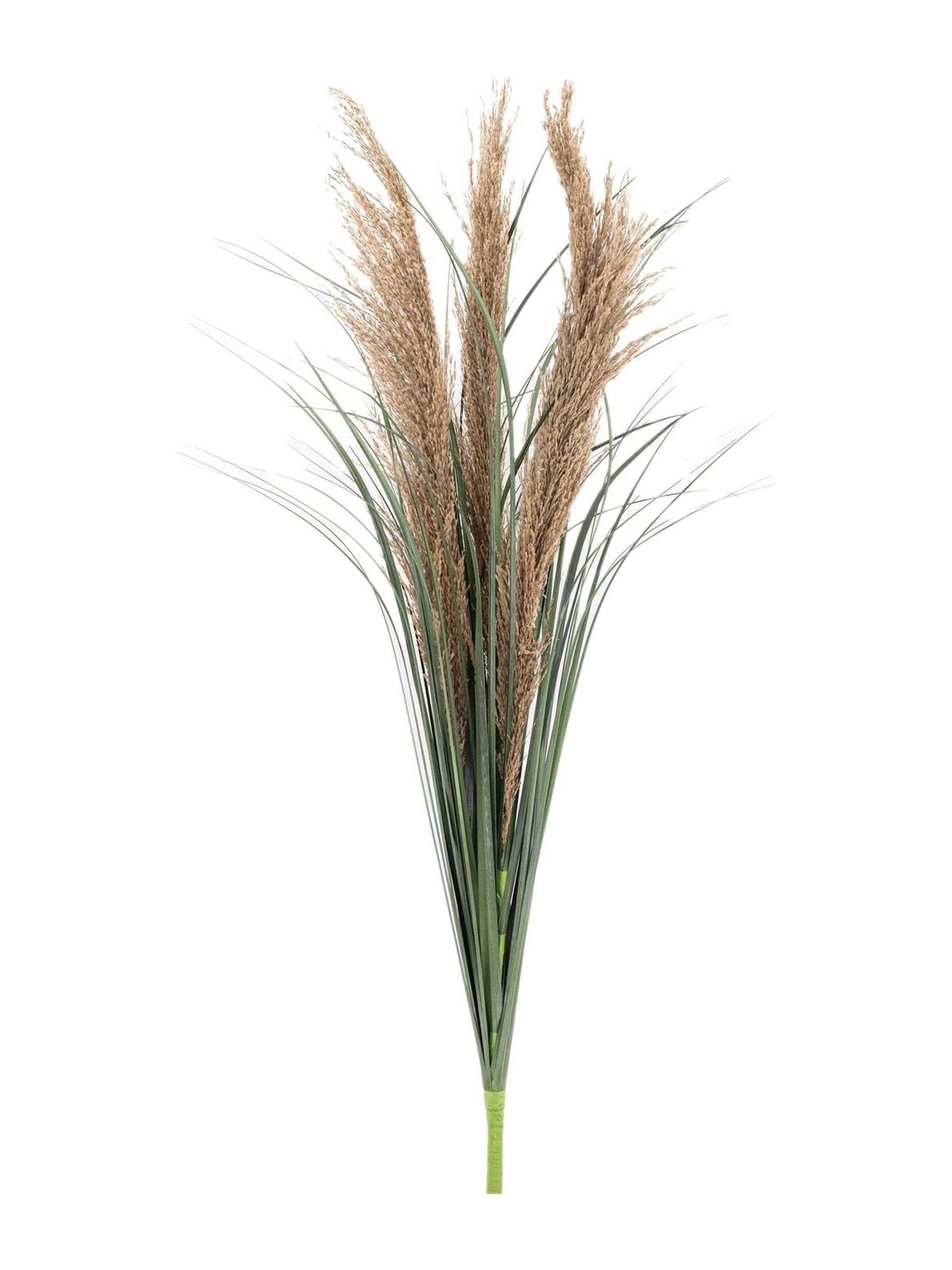 Gallery Home brown faux grass with seed 12 pack, UK version