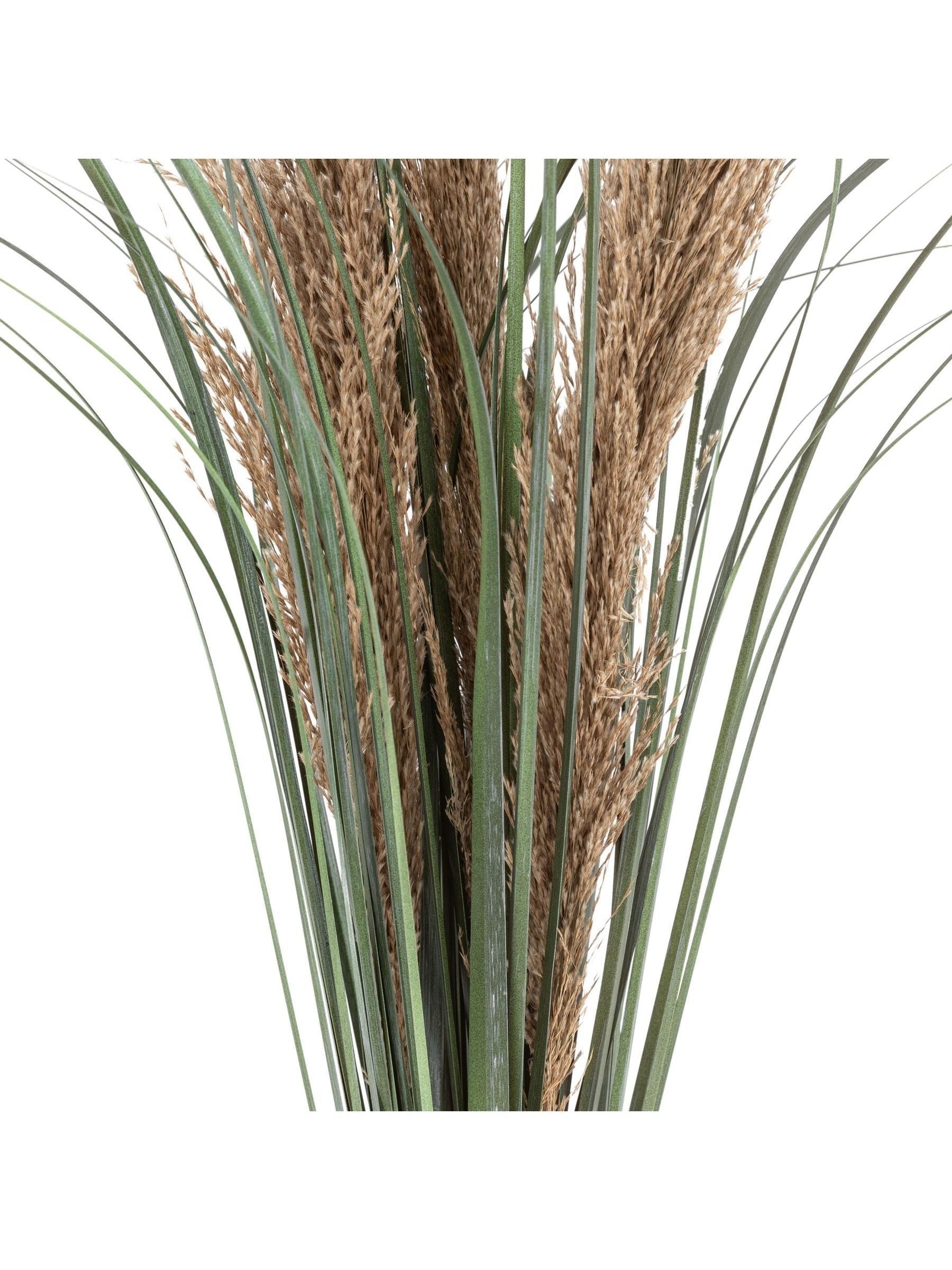Gallery Home brown faux grass with seed 12 pack, UK version