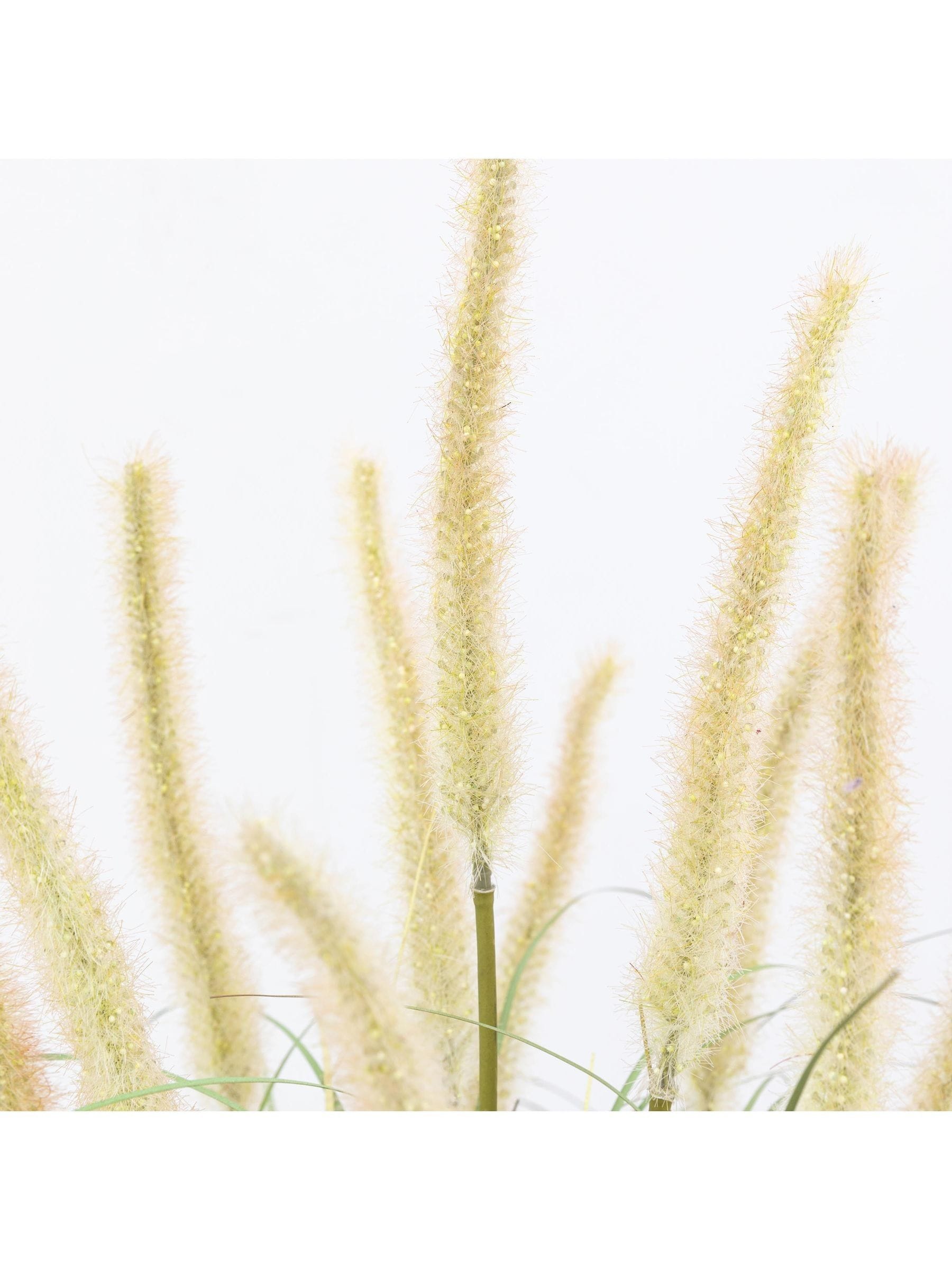 Gallery Home white faux potted grass 5 pack UK version