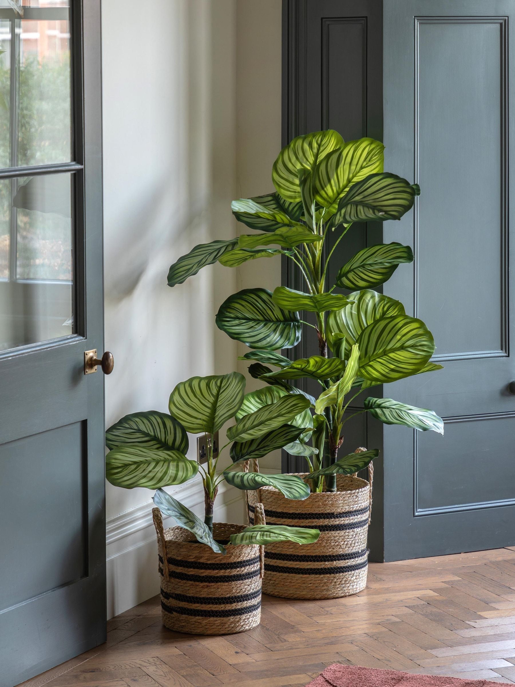 Gallery Home green faux potted Calathea plant 60cm, UK version