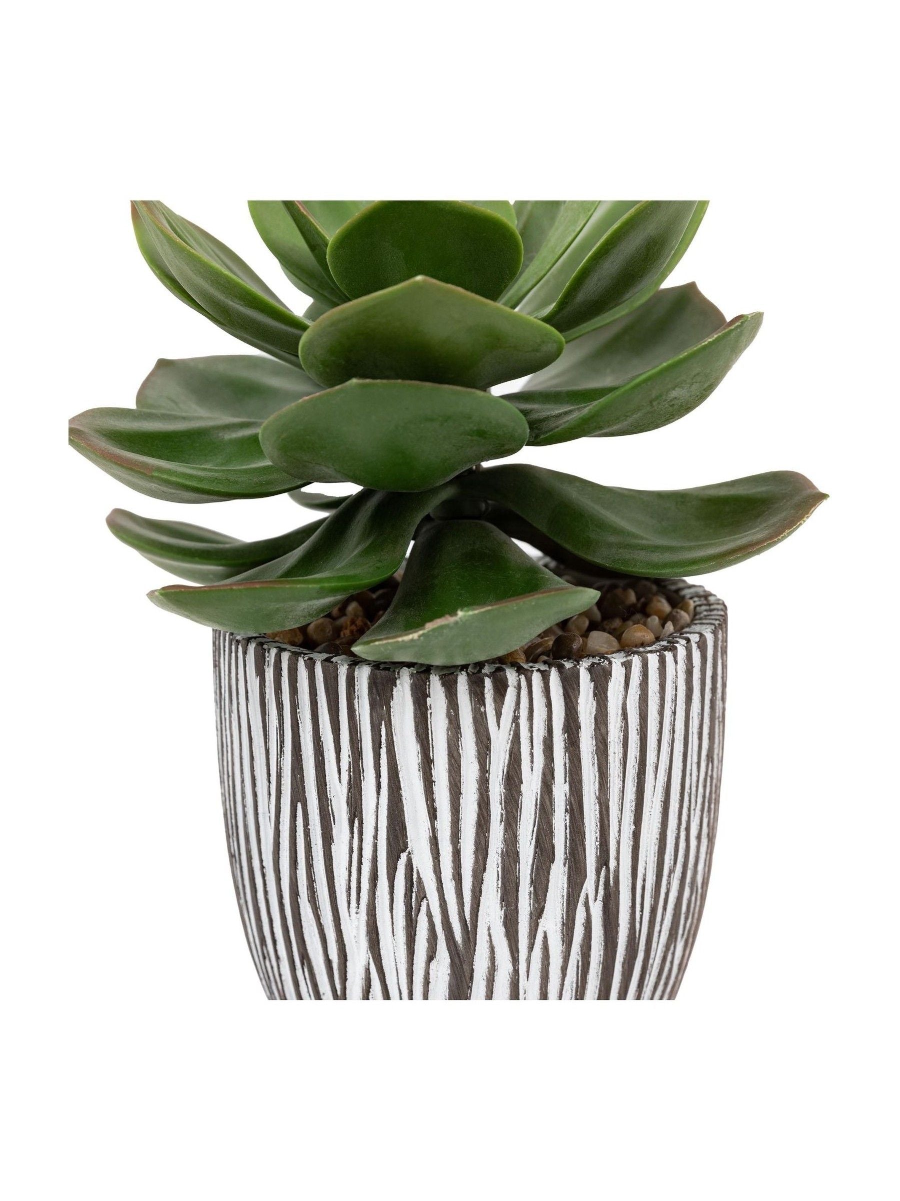 Gallery Home faux succulent in black ribbed ceramic pot, UK version