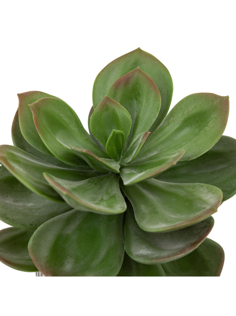 Gallery Home faux succulent in black ribbed ceramic pot, UK version