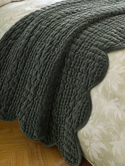 Next Laura Ashley Pine Green Brady Scallop Cotton Velvet Bedspread 180cm x 235cm- Buy online at McGrocer