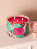 Just Pink Paradise 3 wick candle with exotic fragrance, UK version