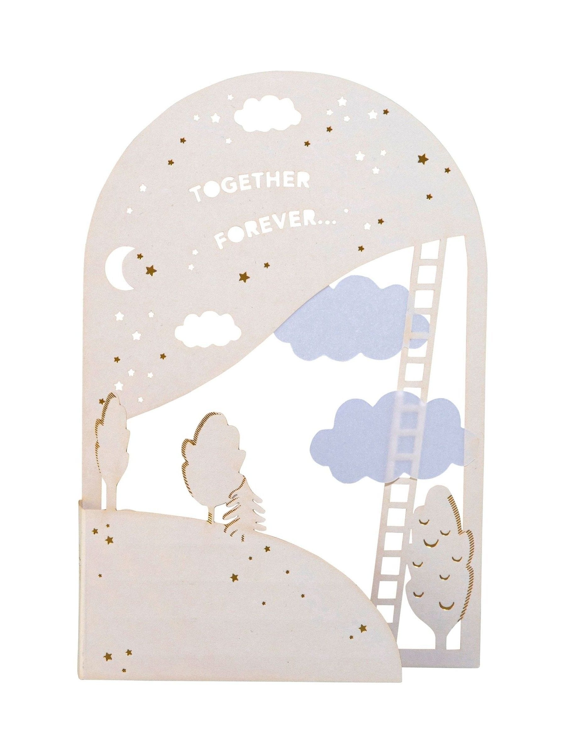 Hall & Co Together Forever 3D pop-up greeting card, UK version