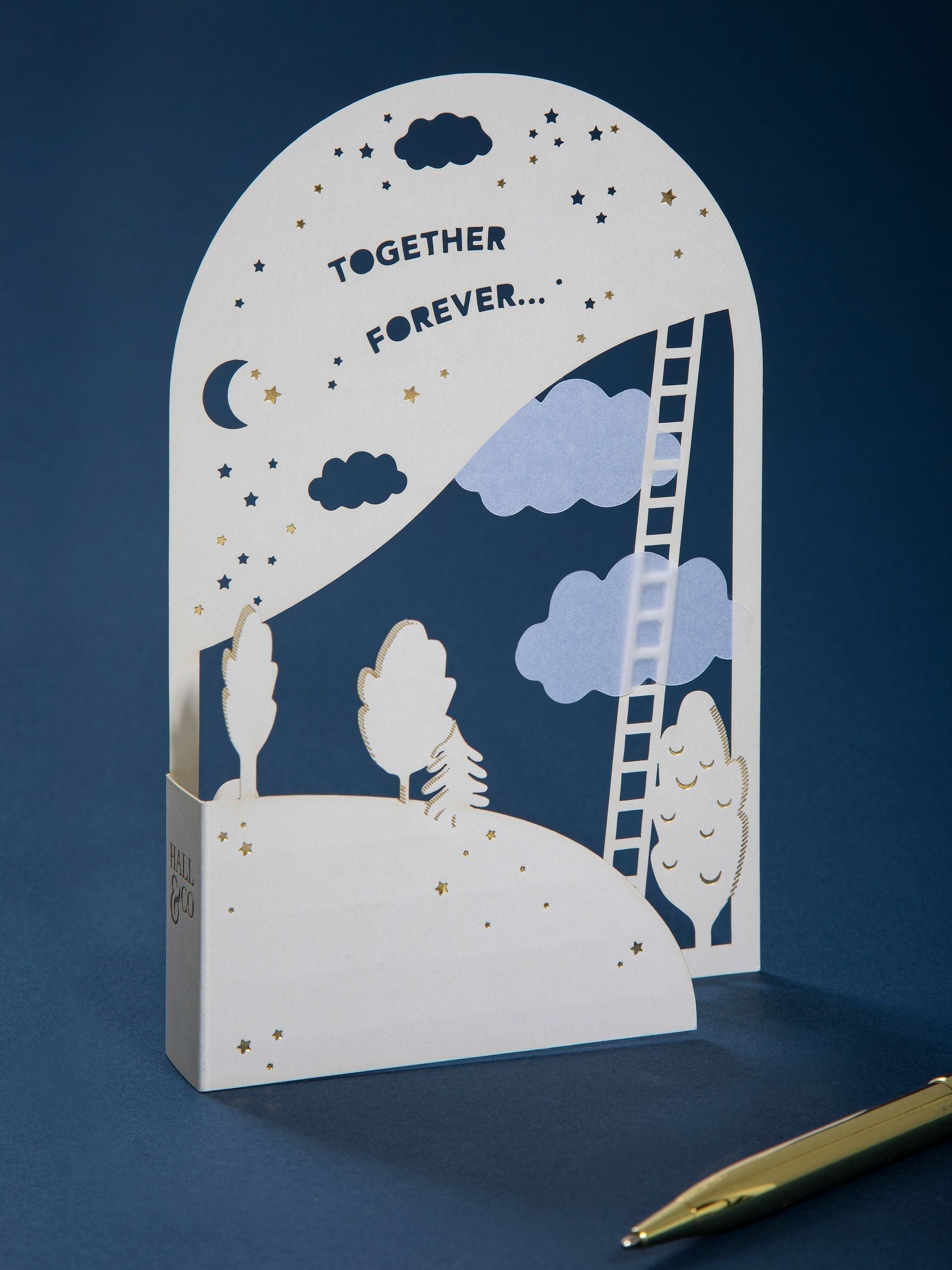 Hall & Co Together Forever 3D pop-up greeting card, UK version
