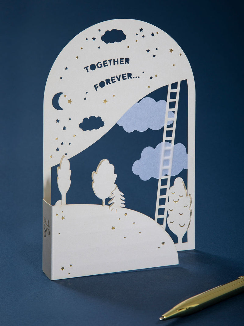 Hall & Co Together Forever 3D pop-up greeting card, UK version