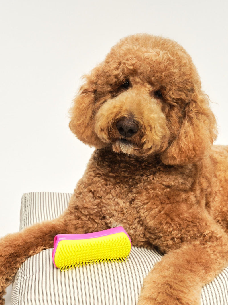 Tangle Teezer pink and yellow large pet brush, UK version