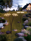 SolarCentre warm white starburst solar stake lights, UK version