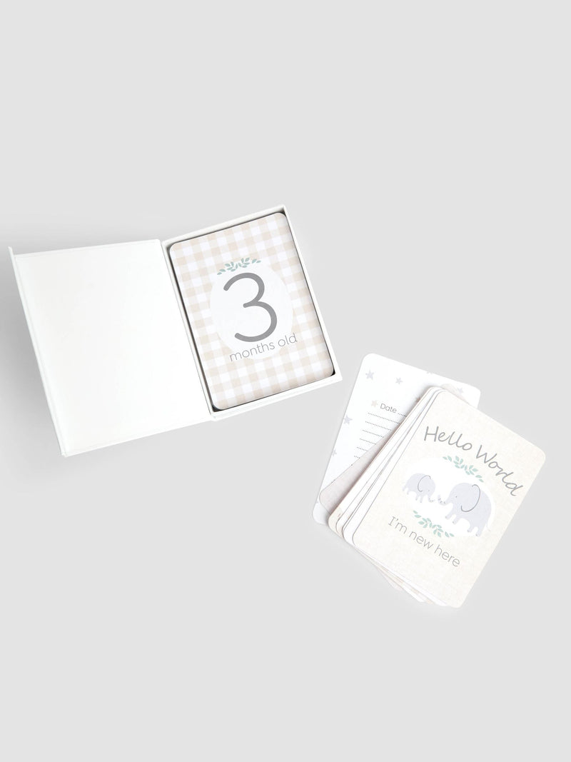 JoJo Maman Bébé My First Milestone Cards set of 26 (British brand)