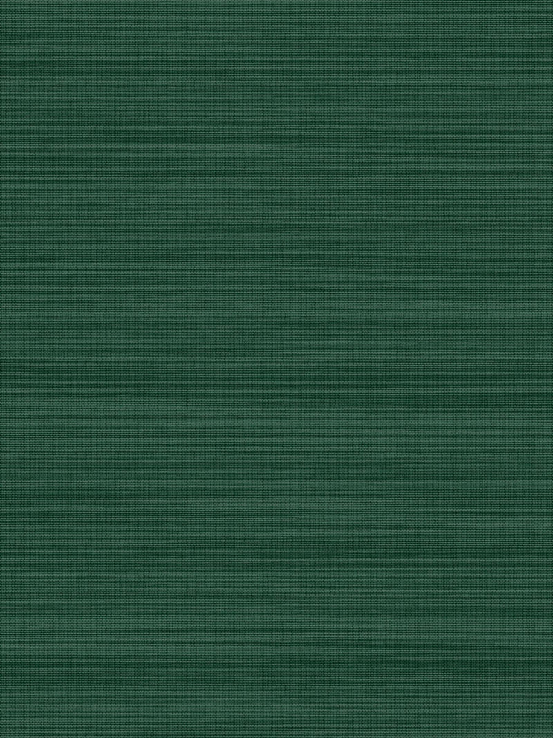 Graham & Brown Stitch Please dark green wallpaper sample A4, imported from the UK