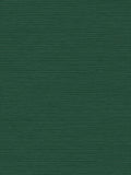 Graham & Brown Stitch Please dark green wallpaper sample A4, imported from the UK