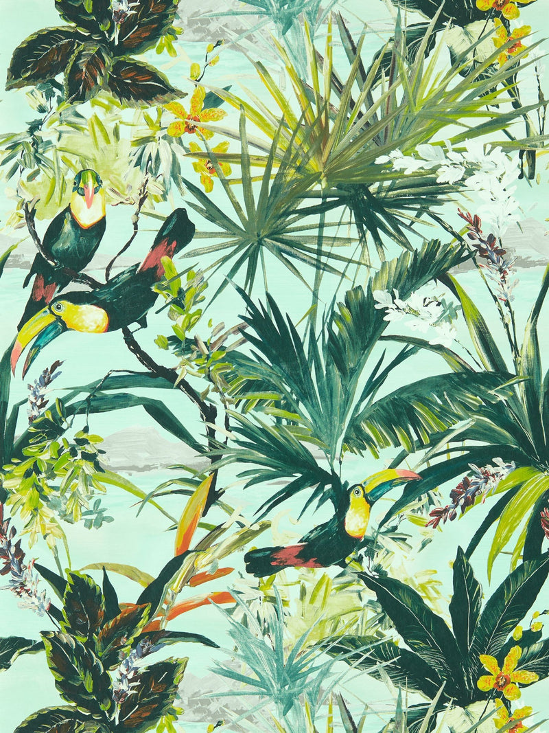 Clarke & Clarke wallpaper sample toucan design A4, imported from the UK