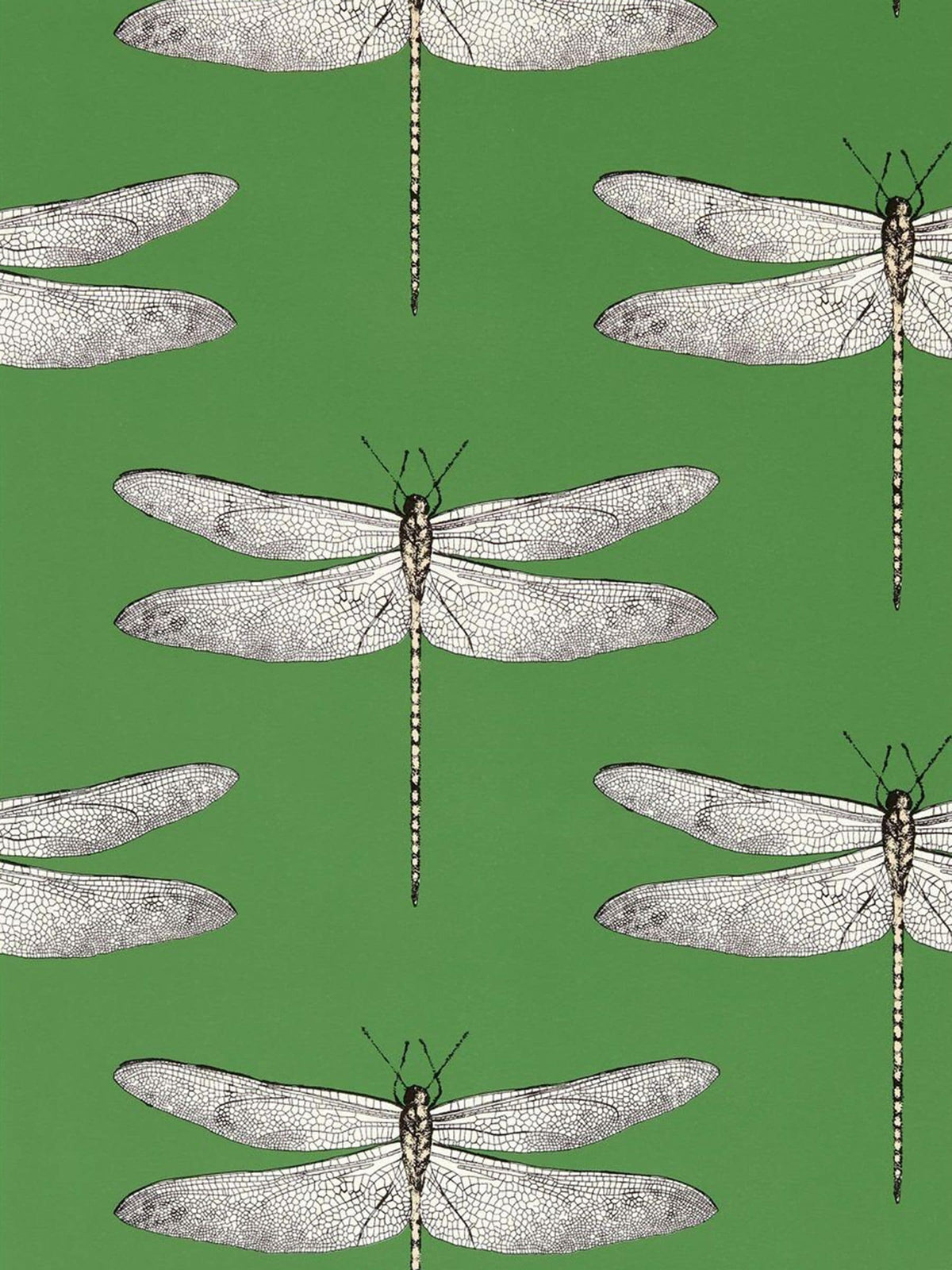 Harlequin wallpaper sample with dragonfly motif A4, imported from the UK