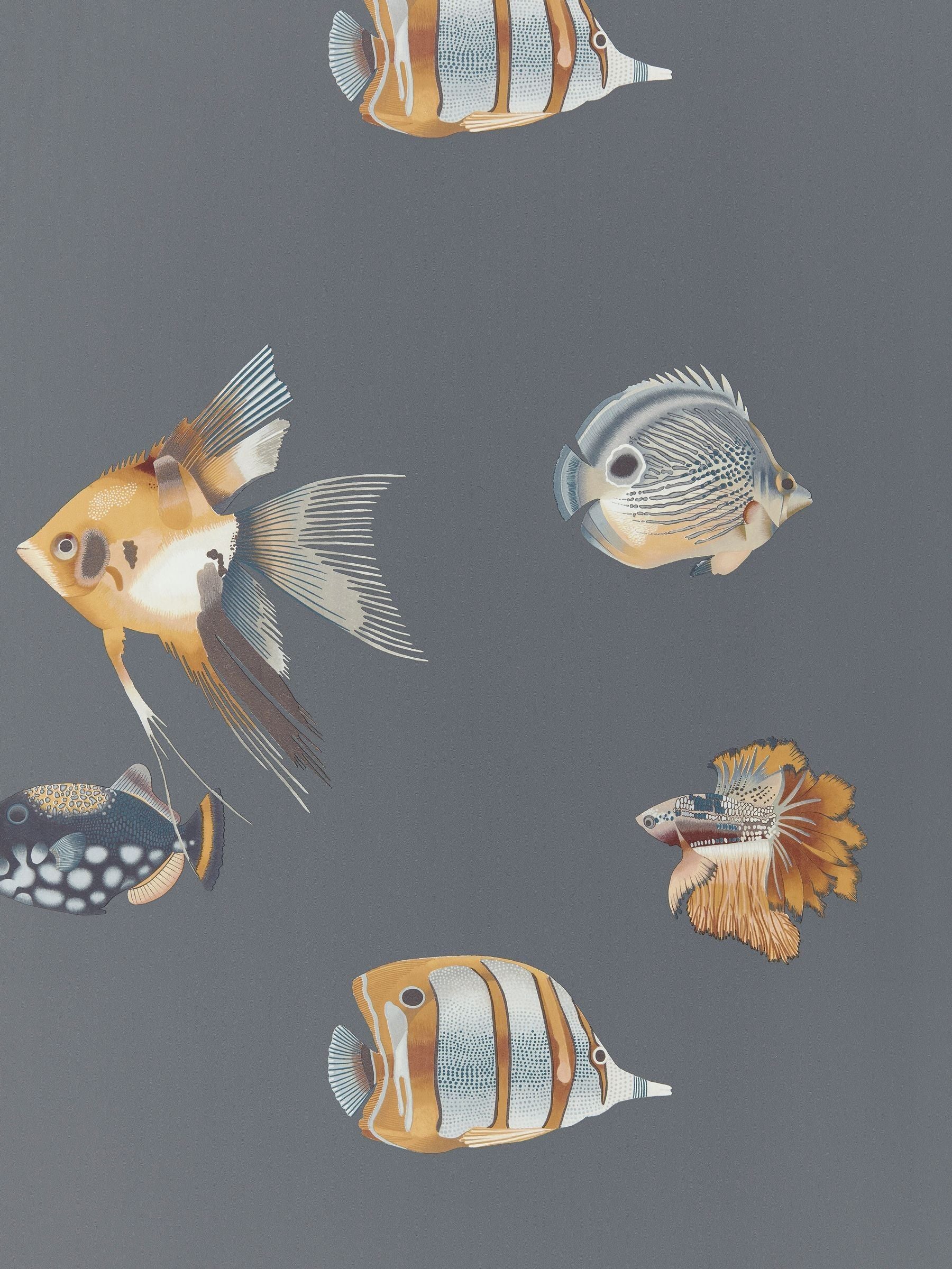 Harlequin wallpaper sample Amber Slate Kamanu Idyllic A4, imported from the UK
