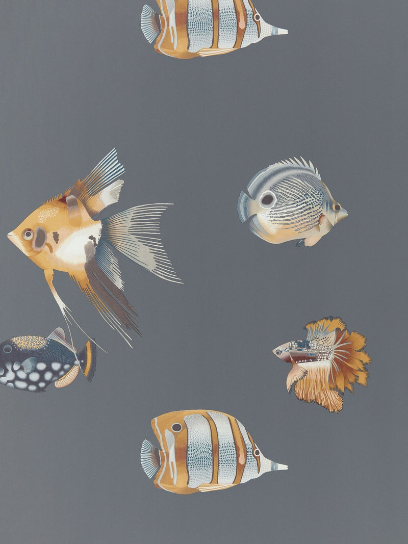 Harlequin wallpaper sample Amber Slate Kamanu Idyllic A4, imported from the UK
