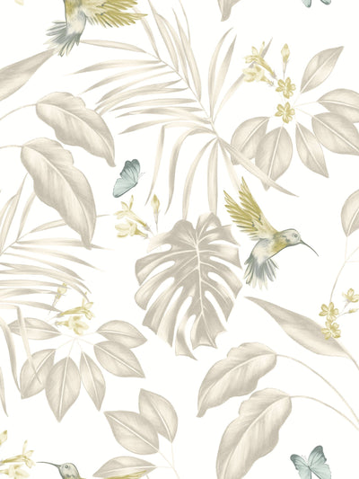 Next Ohpopsi Pearl Hummingbird Wallpaper Sample A4- Buy online at McGrocer
