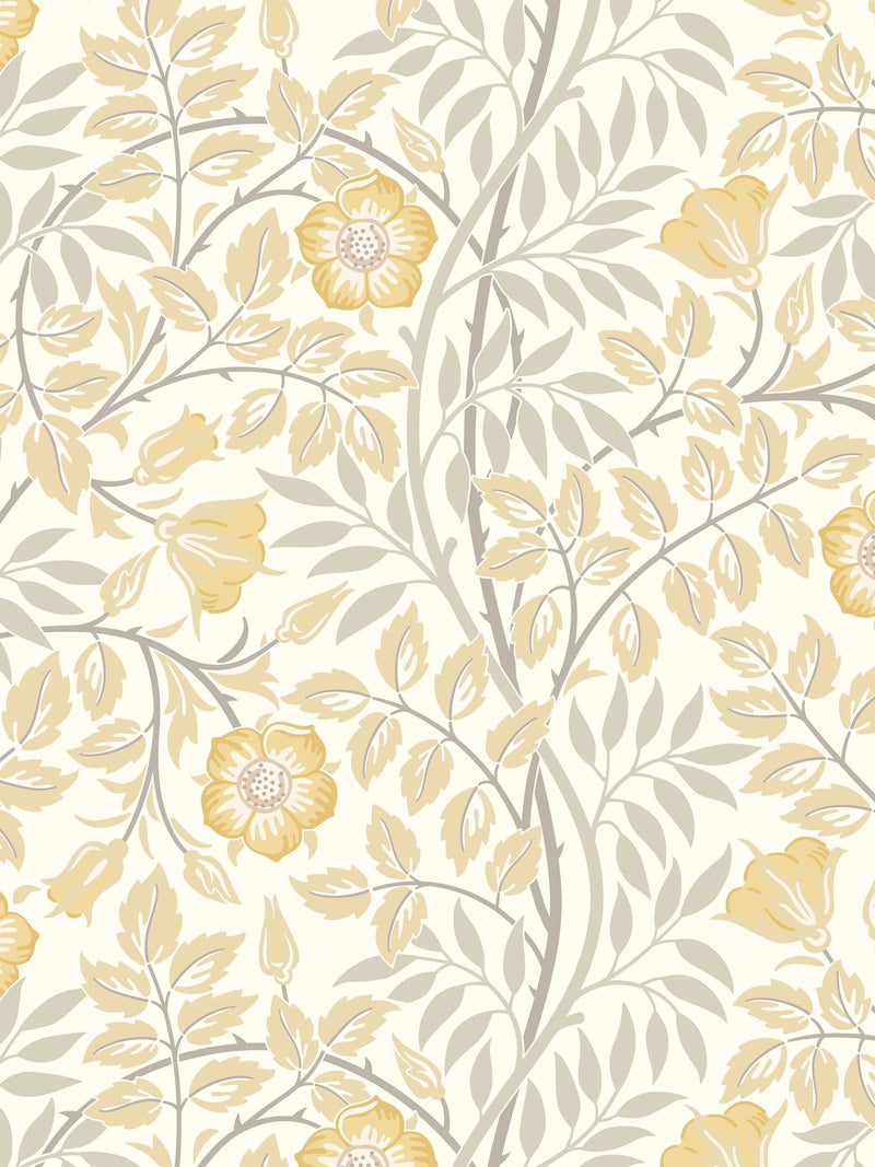 Hoopla Walls Sage Green Rosehip Wallpaper Sample A4